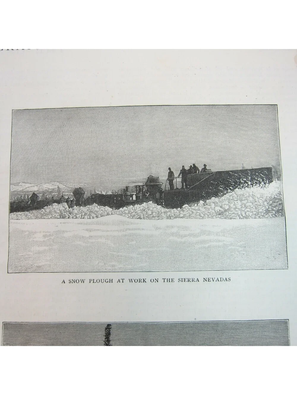 Antique 1885 Print 